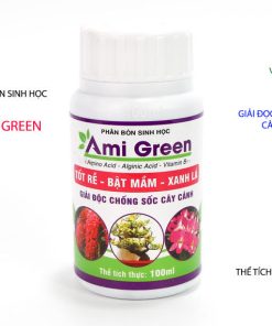 Phân Bón Sinh Học Ami Green 100ml